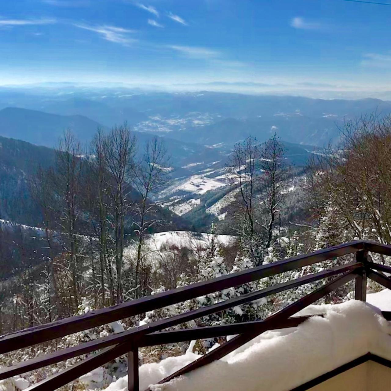Apartman D52 Dvori Kopaonik Exterior photo